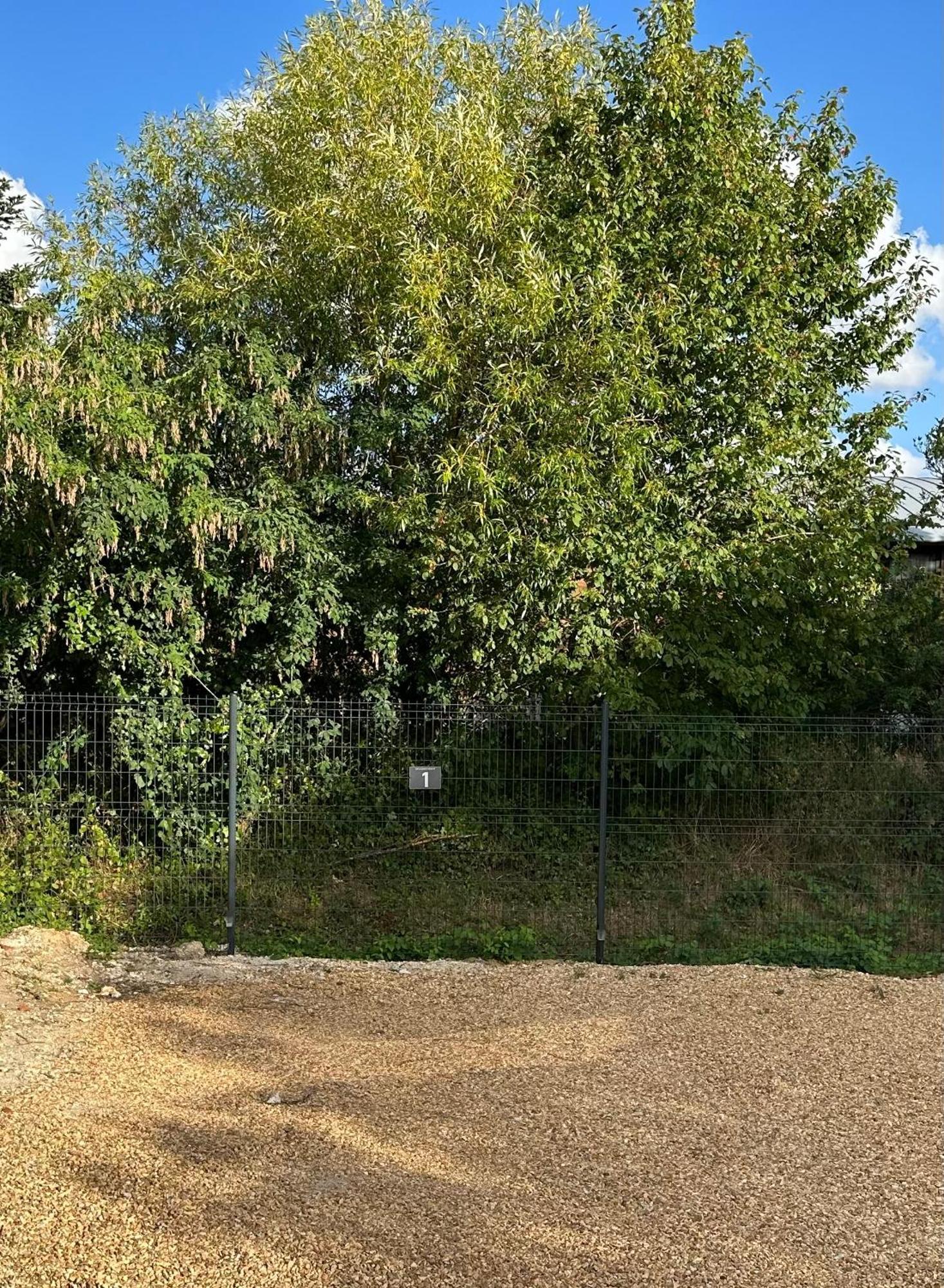 Au Coeur Des Chateaux De La Loire 方蒂提斯 外观 照片
